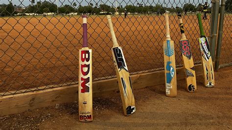 How Phoenix could become the next cricket hotspot - Axios Phoenix