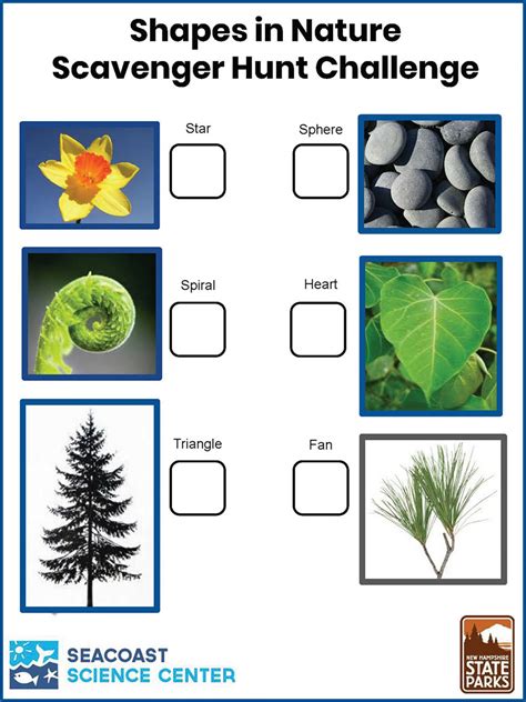 Nature Scavenger Hunt Nature Scavenger Hunt For Kids Carla Schauer