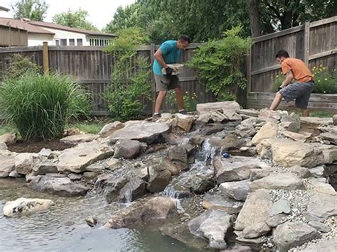 Using a Pool as a Pond 的图像结果