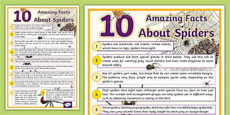 10 Amazing Facts about Spiders Display Poster