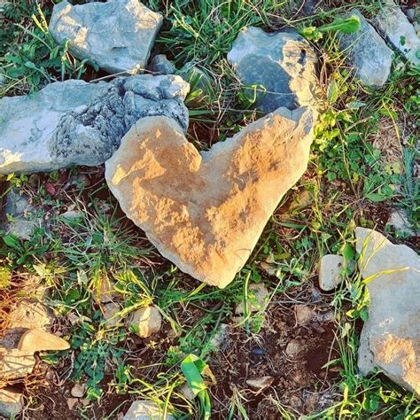 Trgovine / Usluge - Donji Humac, Otok Brač, Hrvatska