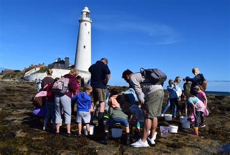 Rockpool Ramble, St.Mary's Island NE26 4RS Whitley Bay, United Kingdom ...