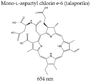 Porphyrin Macrocycles: General Properties and Theranostic Potential