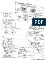 Image result for Endocrine System Grade 12 Lesson