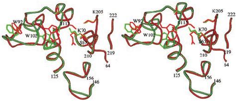 Bildergebnis für active site