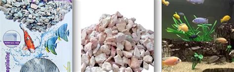 MR TRADERS Zeolite - Clinoptilolite Filter Media 800 ml : Amazon.in ...