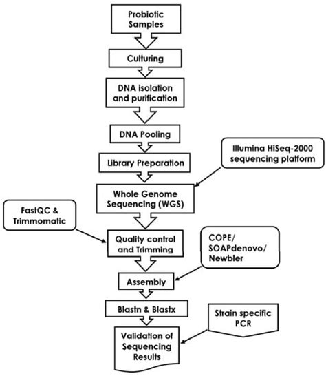 Viability and Composition Validation of Commercial Probiotic Products ...
