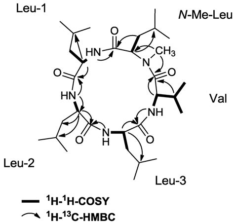 Marine Drugs | Special Issue : Bioactive Compounds from Marine Fungi