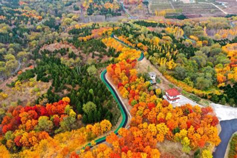 北京房山青龙湖持续优化生态环境 为转型发展提供和谐共生发展理念