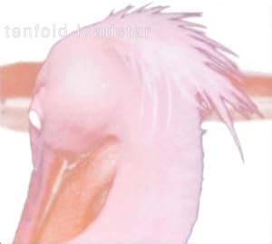 Tenfold Loadstar: Tenfold Loadstar: Amazon.in: Music}