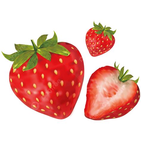 Strawberry Fruit Vector