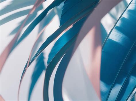 Professional Background 的图像结果