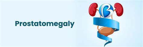 Prostatomegaly: Symptoms and Treatment Options