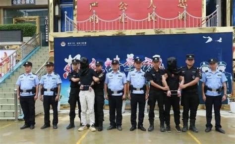 广西警方破获一起跨境网络赌博案 抓获犯罪嫌疑人73人-中青在线