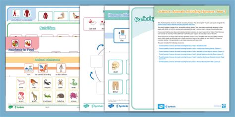 Science Sign Twinkl 的图像结果