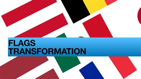 Image result for Flag Transform