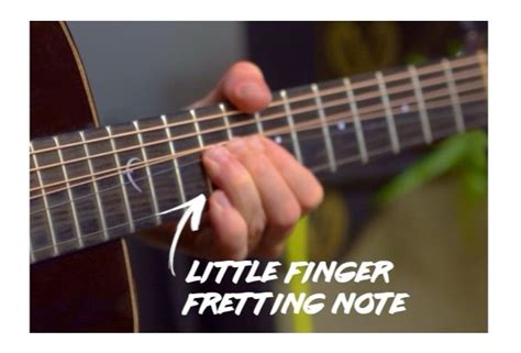 Image result for String Bounce Guitar Form
