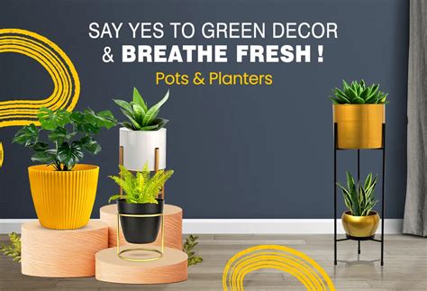 Plants, Pots, Tools & Accessories - Online Garden Store | Urban Plant