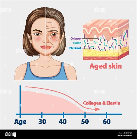 How to Decrease Computer Screen Light 的图像结果