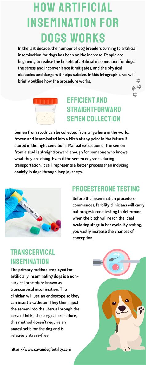 PPT - How Artificial Insemination for Dogs Works PowerPoint ...