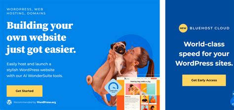 Image result for Bluehost Web Hosting Tutorial