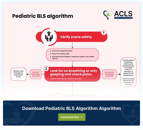 Image result for AHA Pediatric BLS Algorithm