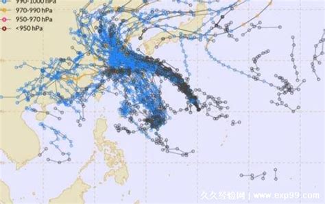 台风共有多少名字—— 台风命名一览表 - 救救大自然环保节能网