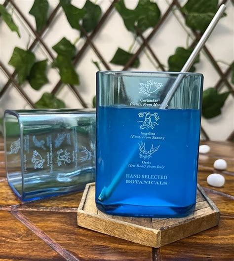 The Offbeat Trove Bombay Sapphire Drinking Glasses | Set of 2 | 300ml ...