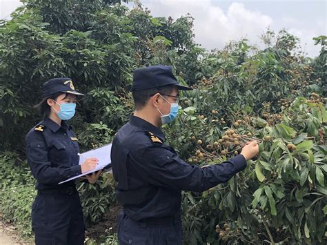 增幅全省居首！茂名前8月外贸进出口161.5亿元，同比增长40.8% ↑↑↑_企业_产品_原油