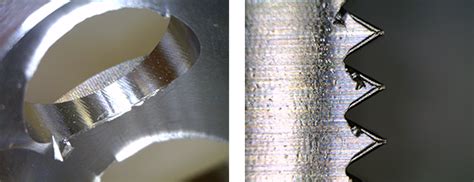 Image result for Structural Components of Shell