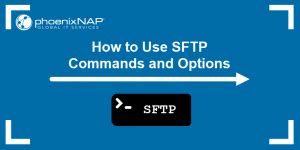 SFTP Tutorial 的图像结果