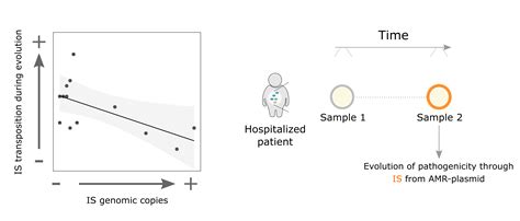 Jumping genes spark bacterial evolution | Research Communities by Springer Nature