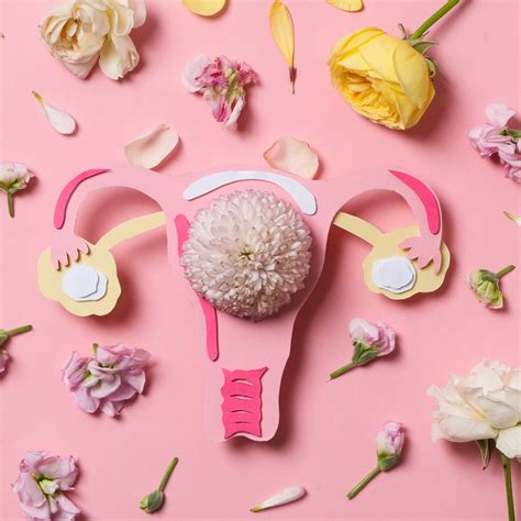 Vaginal Flora - OMNi-BiOTiC®