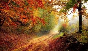 Image result for Anagram Questions. Java