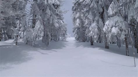 Image result for Snow Loop