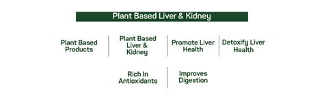 Smart Greens Plant Based Liver & Kidney Enriched with Silymarin Milk ...