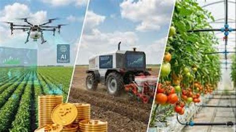 From Fields to AI: Punjab's INR 310 Crore Push for Smarter Agriculture