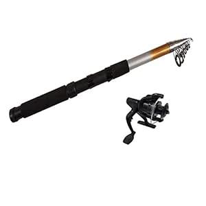 TISTA Exclusive Fishing Spinning Rod (360cm) Gold Color with Fishing ...