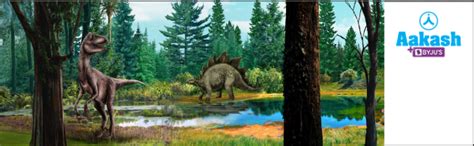 What are the Differences between Gymnosperms and Angiosperms ...