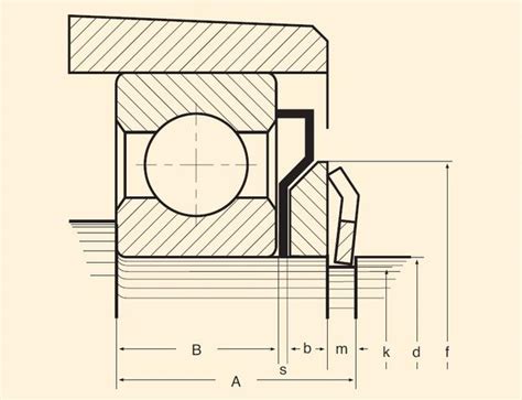 Bearing Seals - Multidimensions
