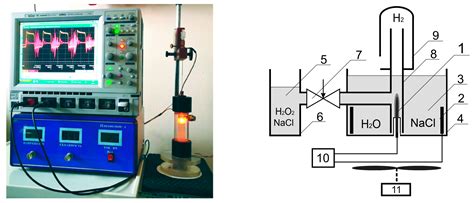 Increase of Productivity and Neutralization of Pathological Processes ...