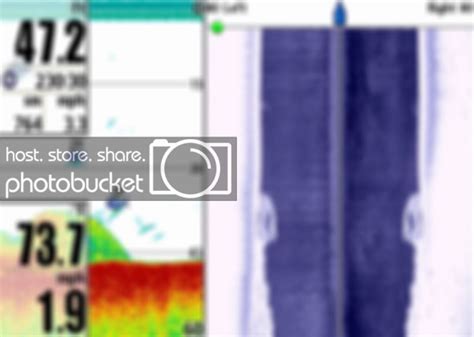 Image result for Craw Fish Graph