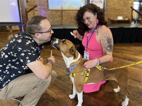 Get Involved | FACE | Low Cost Animal Clinic | Indianapolis, IN