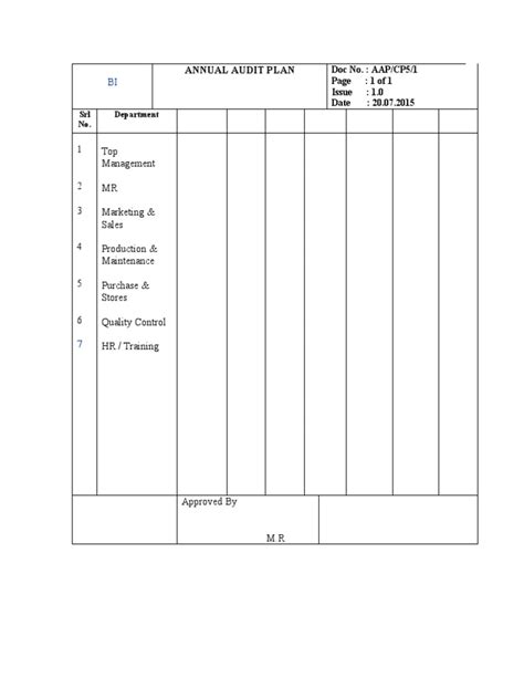 Audit Plan Example 的图像结果