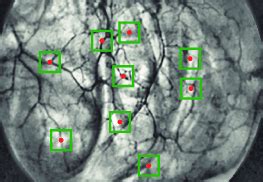 Image result for Matching Process Sampling