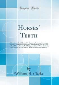 Horses' Teeth: A Treatise on Their Mode of Development, Anatomy ...