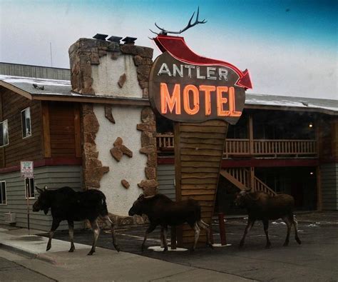 ANTLER INN (Jackson, Jackson Hole, WY) - Motel Reviews, Photos, Rate ...