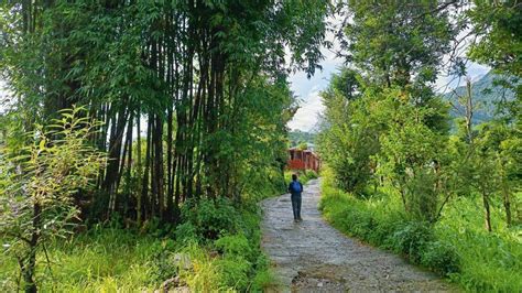 Finding Countryside Paradise In Rakh, A Village In Himachal Pradesh