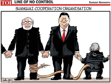 Shanghai cooperation |The Times of India
