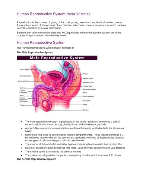 Reproduction in Humans Whole Process 的图像结果